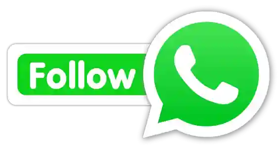 Rumble Rummy WhatsApp